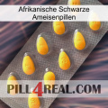 African Black Ant Pills cialis1